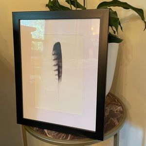 Black Feather Framed Wall Decor